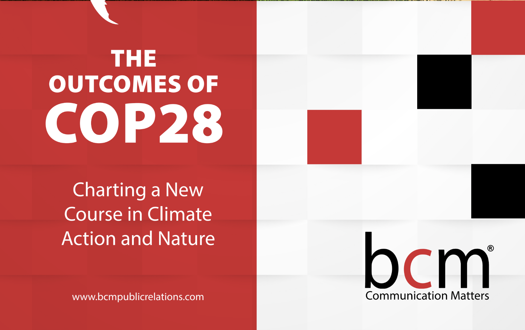 Back with Purpose: A Snapshot of COP28