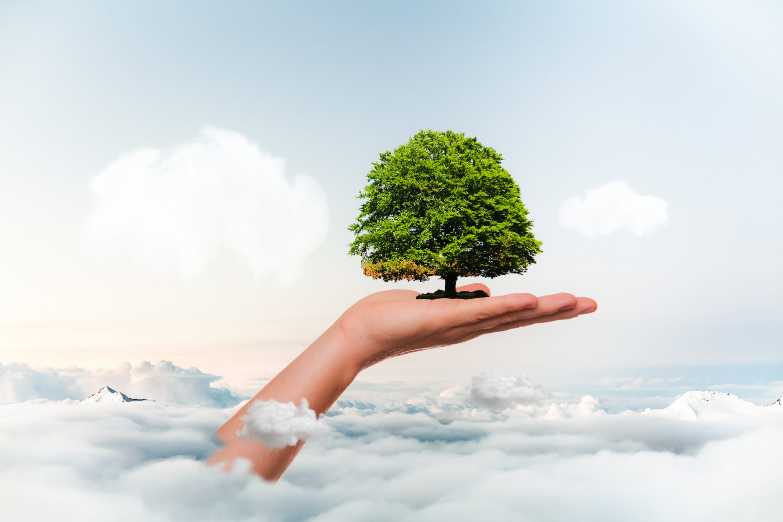 Earth Day: What you need to know