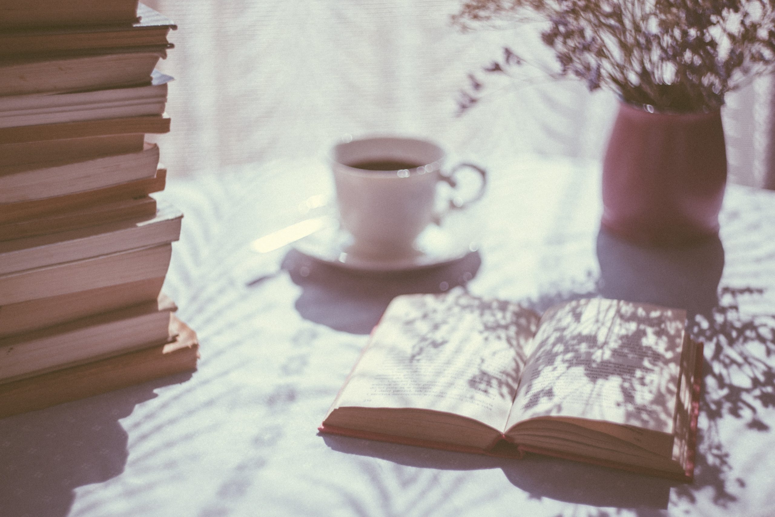 Book Club: Our 2021 Quarantine Reading Recommendations
