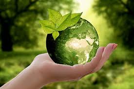 BP Green Sustainability